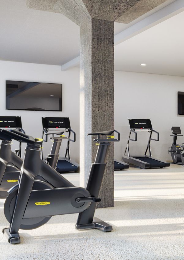 Wixby House Modern gym with stationary bikes and treadmills, large windows, and wall-mounted TVs.